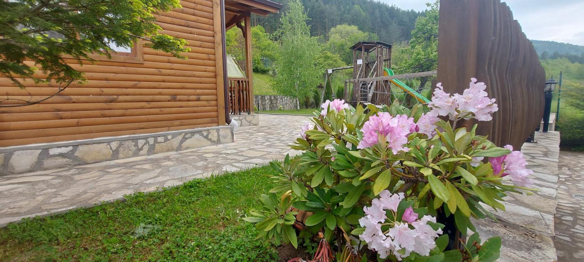 Mini Complex Rilski Terasi Сапарева Баня Екстер'єр фото