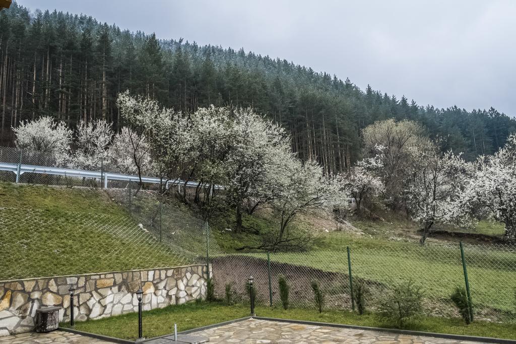 Mini Complex Rilski Terasi Сапарева Баня Екстер'єр фото